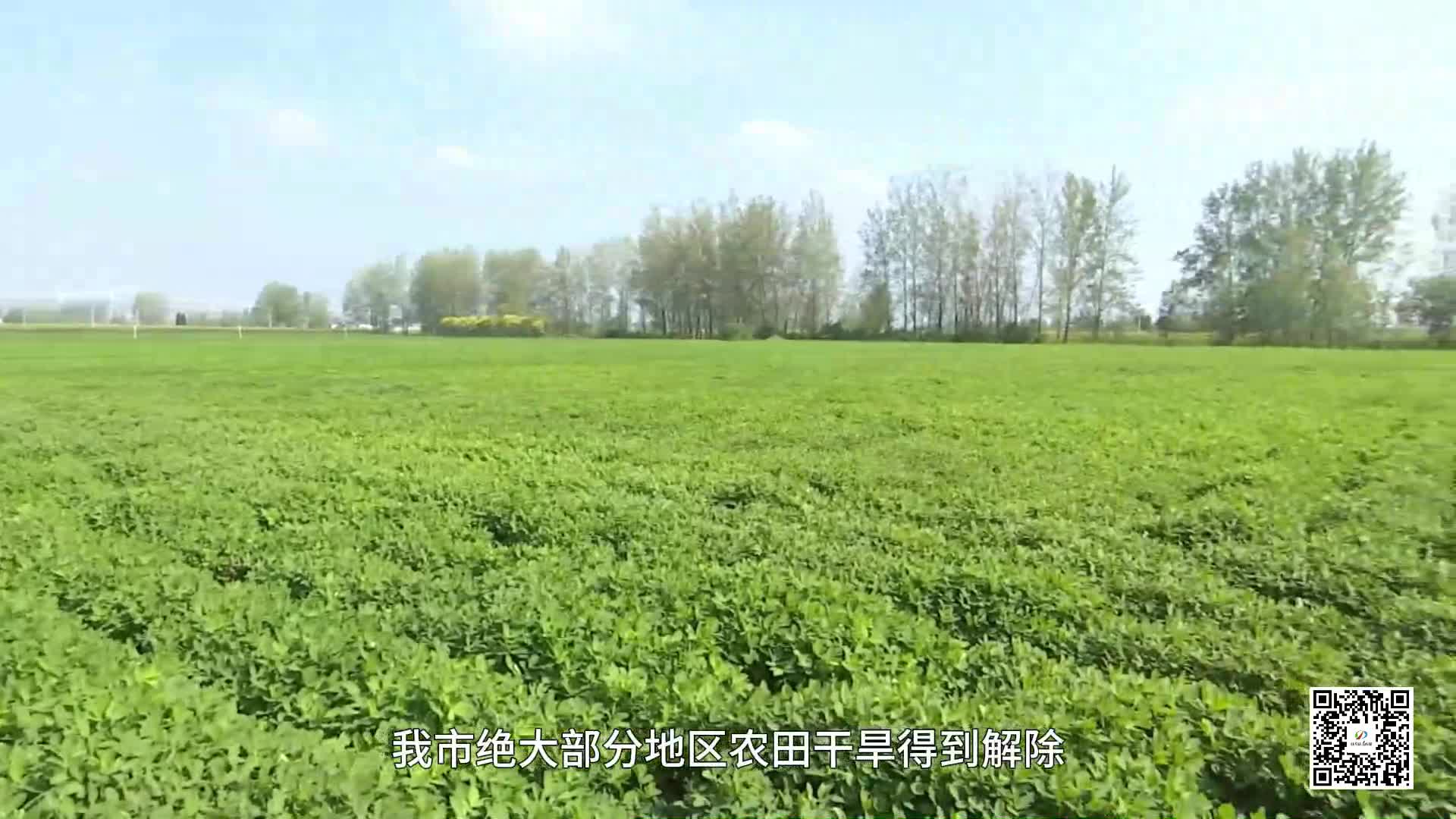 駐馬店：強降雨 “解渴” 旱情得以緩解