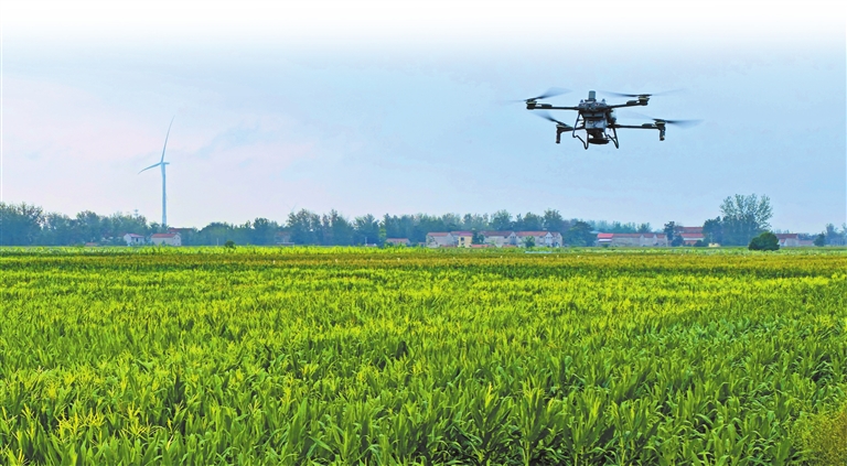 競逐AI新賽道 河南省將設(shè)立人工智能產(chǎn)業(yè)基金