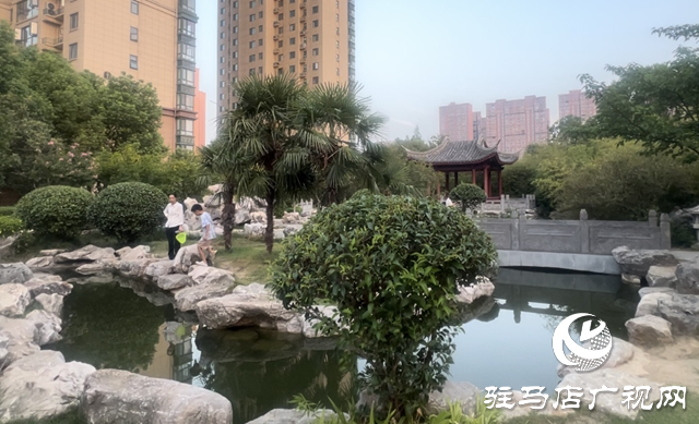 駐馬店開源公園成為市民避暑納涼的首選之地