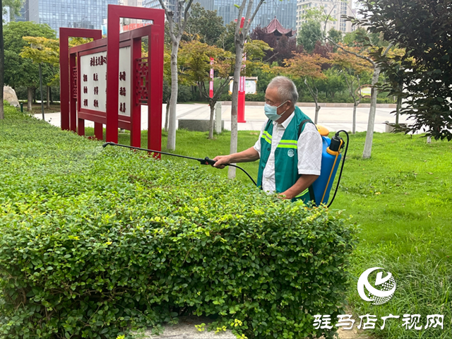 駐馬店市區(qū)白粉虱活躍引關注 園林部門加強防治提醒市民防護