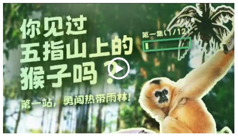 幸會中國 | 走進(jìn)五指山，探秘“人與自然和諧共生”之道