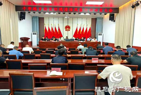 平輿縣十字路鄉(xiāng)：環(huán)境整治三步走，擦亮文明新底色