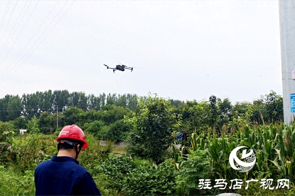 國網(wǎng)平輿縣供電公司：激光除患護線路 高效運維有保障