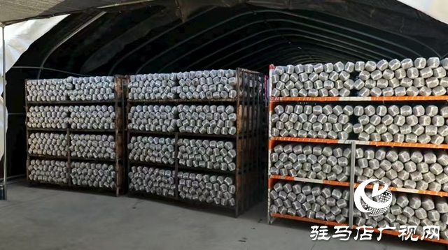 泌陽縣:菌棒生產(chǎn)助力食用菌產(chǎn)業(yè)多元化發(fā)展