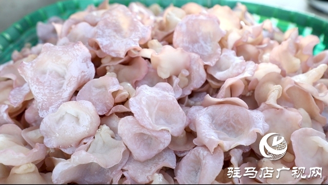 泌陽(yáng)縣泰山廟鎮(zhèn):引入新品桃紅木耳 助力食用菌產(chǎn)業(yè)多元化發(fā)展