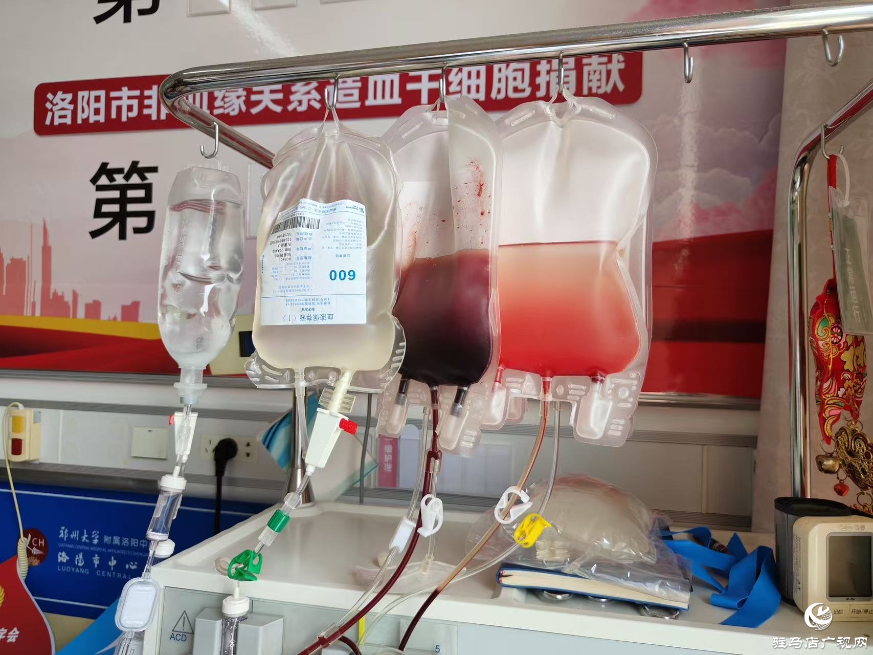 正陽縣第7例造血干細(xì)胞捐獻(xiàn)者魏晨光 為他人送去生的希望