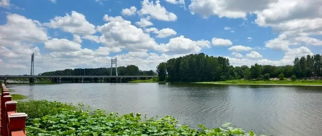 縣區(qū)動(dòng)態(tài) | 八月的泌陽(yáng)