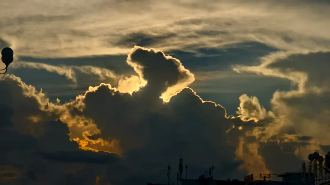 縣區(qū)動(dòng)態(tài) | 八月的泌陽(yáng)