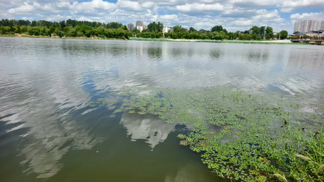 縣區(qū)動(dòng)態(tài) | 八月的泌陽(yáng)