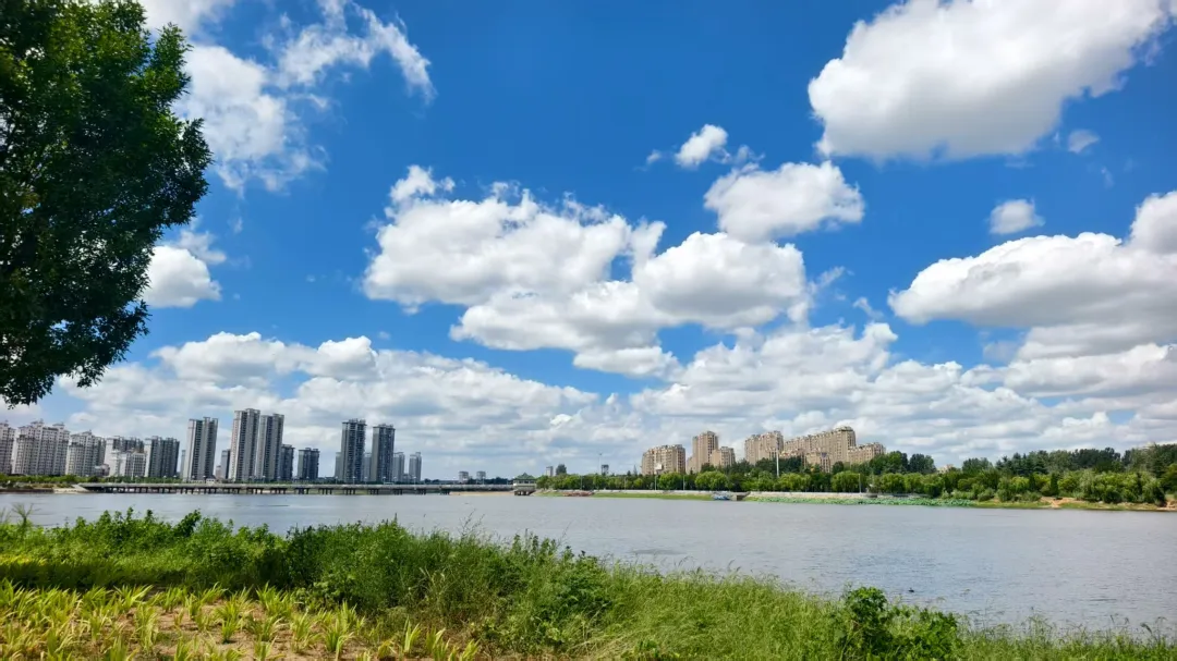 縣區(qū)動(dòng)態(tài) | 八月的泌陽(yáng)