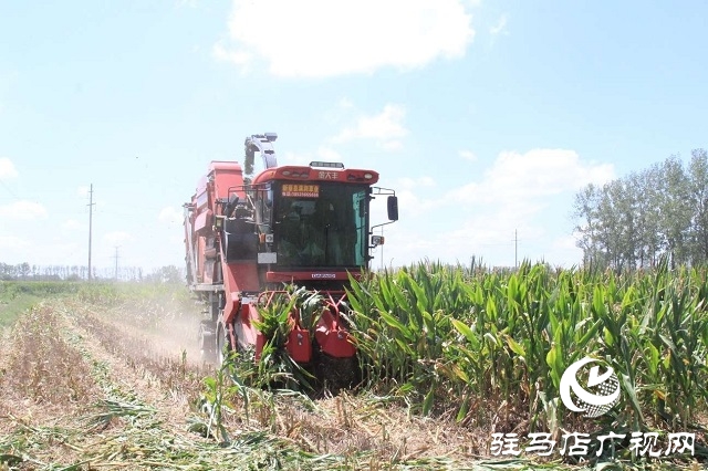 新蔡李橋:秸稈“變身”優(yōu)質(zhì)飼料 綠色產(chǎn)業(yè)賦能鄉(xiāng)村振興