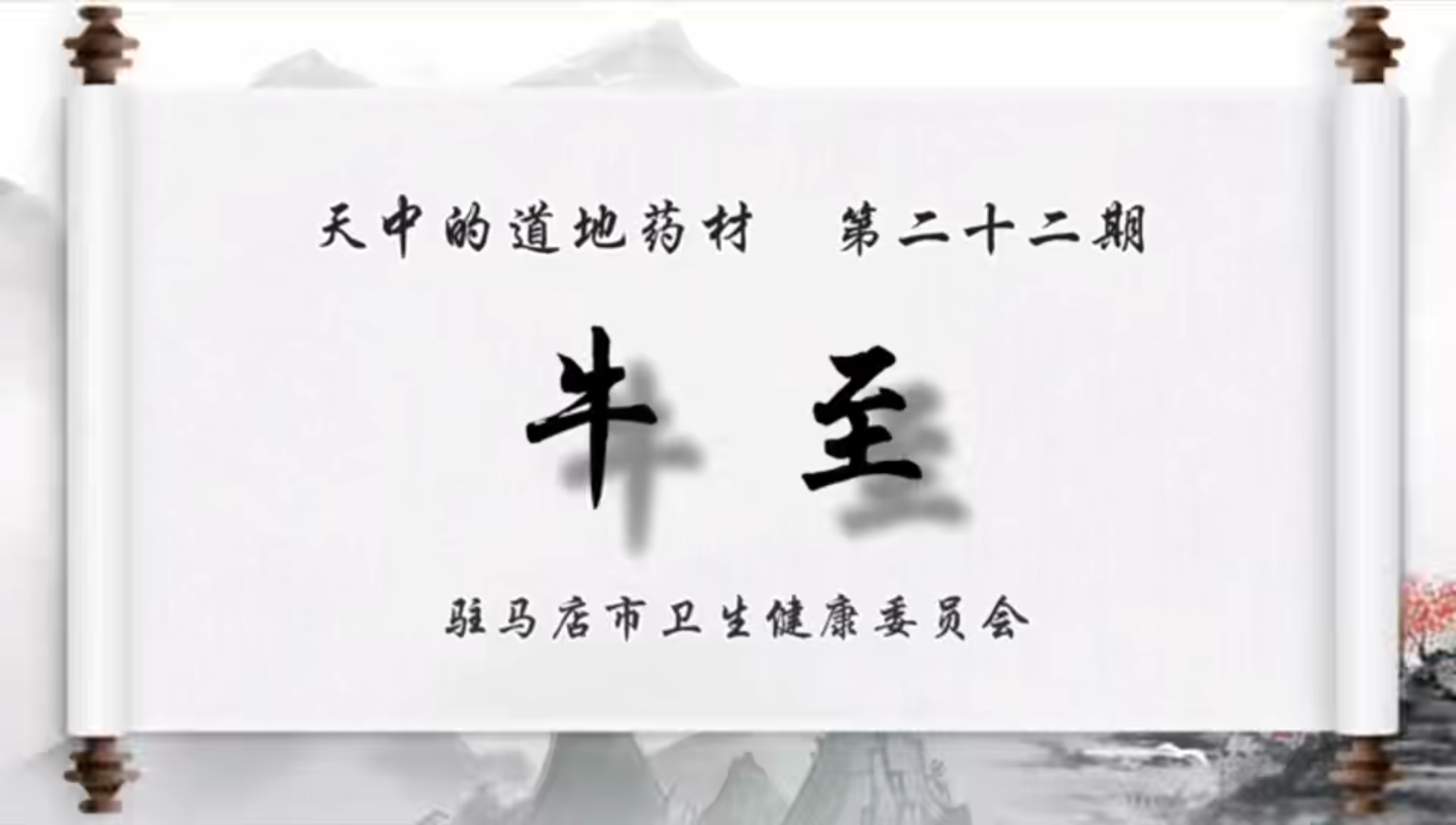 天中的道地藥材——牛至