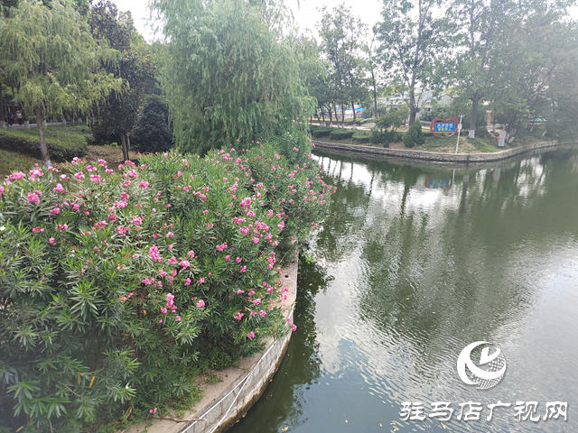 駐馬店:園林增色繪新景 綠意滿城綻芳華