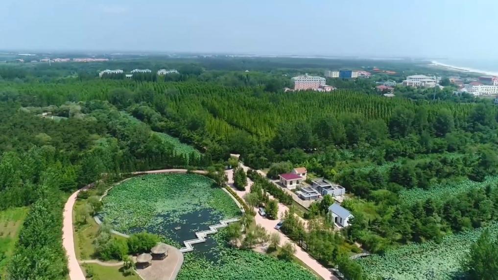 盤點(diǎn)暑期文旅打開(kāi)方式：多元業(yè)態(tài)激活消費(fèi)新動(dòng)能