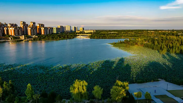 縣區(qū)動(dòng)態(tài) | 玉湖公園景色如畫