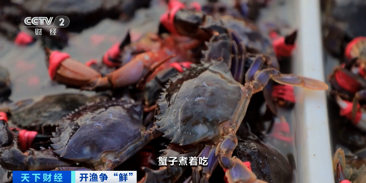 大降價！低至十元一斤！你愛吃的它，便宜了