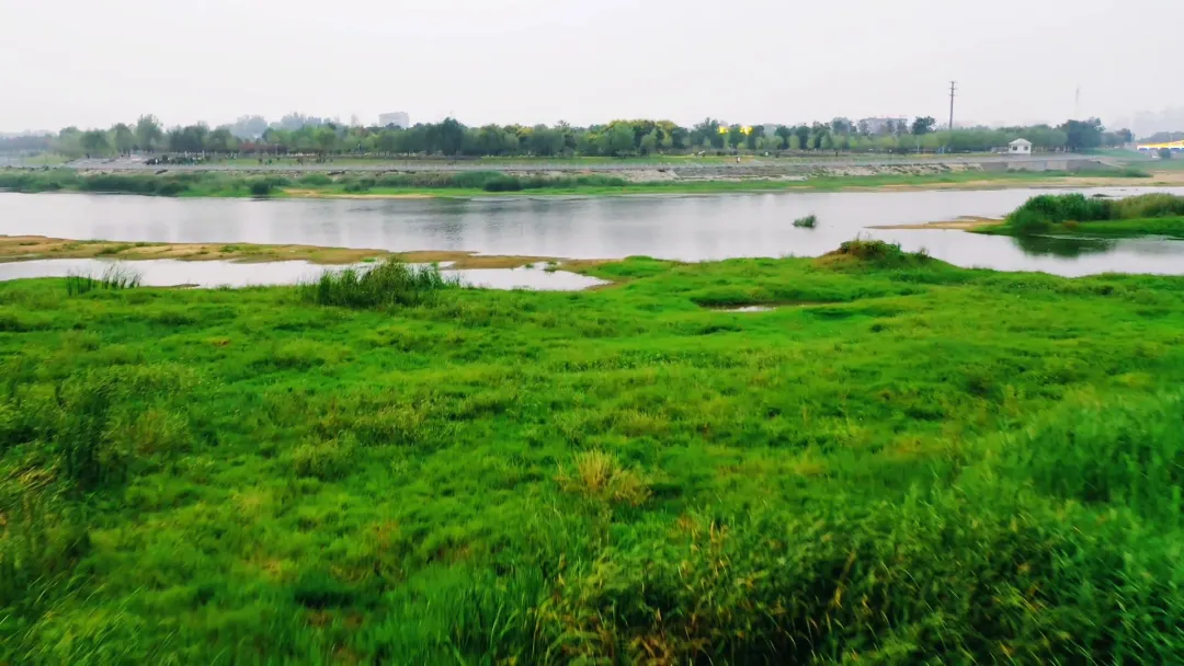 每到傍晚，這個地方的景色很夢幻...