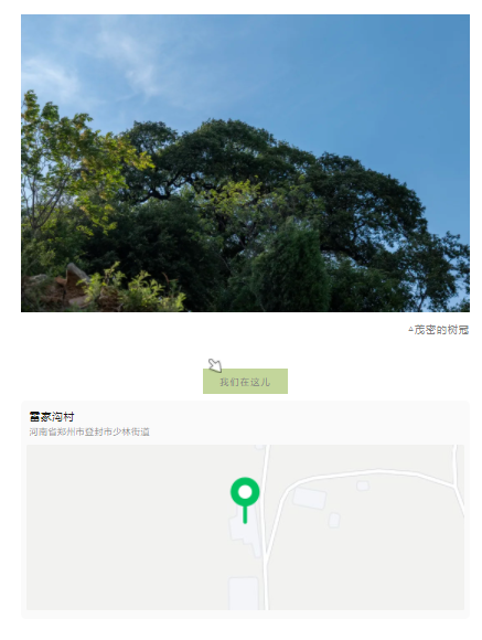 古樹(shù)長(zhǎng)歌 | 嵩山腳下古道邊，七棵櫟樹(shù)跨越千年