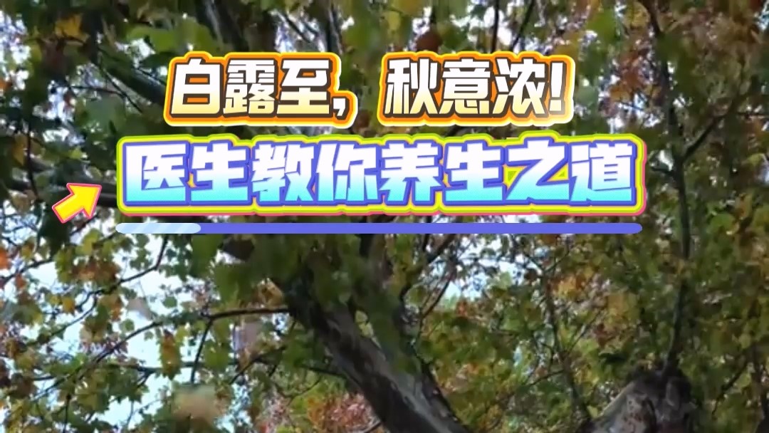 白露至，秋意濃！駐馬店市中醫(yī)院醫(yī)生教你養(yǎng)生之道