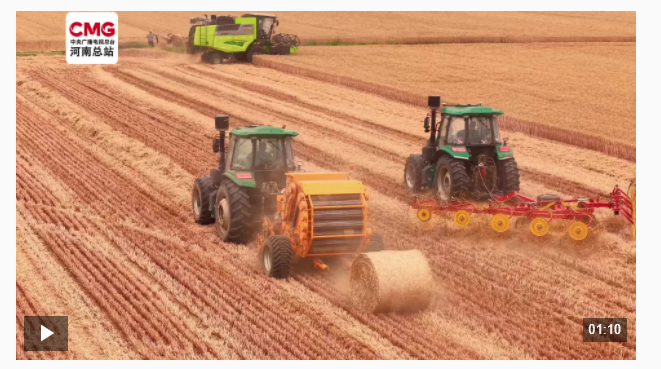 “五良”融合 河南保障糧食穩(wěn)定安全供給