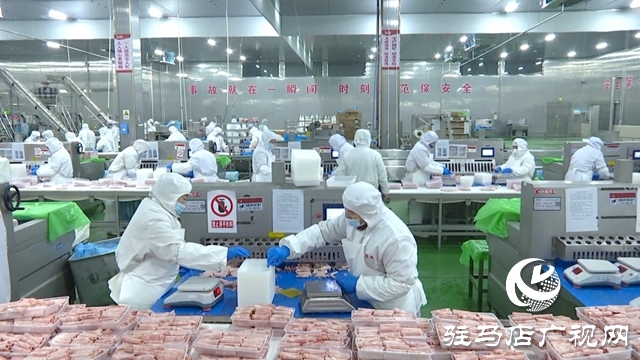 河南恒都食品：開足馬力趕訂單 奮戰(zhàn)三季度促增長
