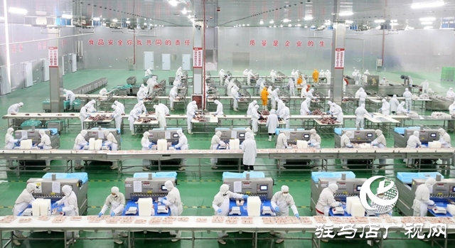 河南恒都食品：開足馬力趕訂單 奮戰(zhàn)三季度促增長
