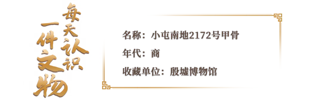 文博日歷丨透過這片“明星甲骨”，一起尋找漢字的源頭！