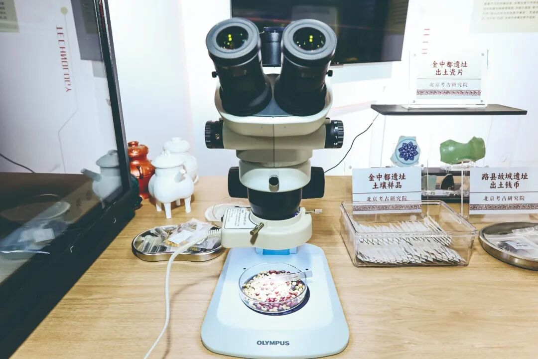 科技賦能·智匯文博——2025服貿(mào)會文博展區(qū)打造智慧文化體驗新場景