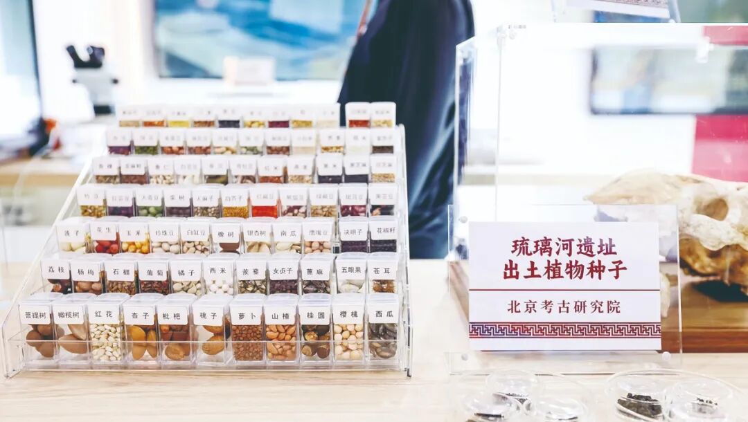 科技賦能·智匯文博——2025服貿(mào)會文博展區(qū)打造智慧文化體驗新場景