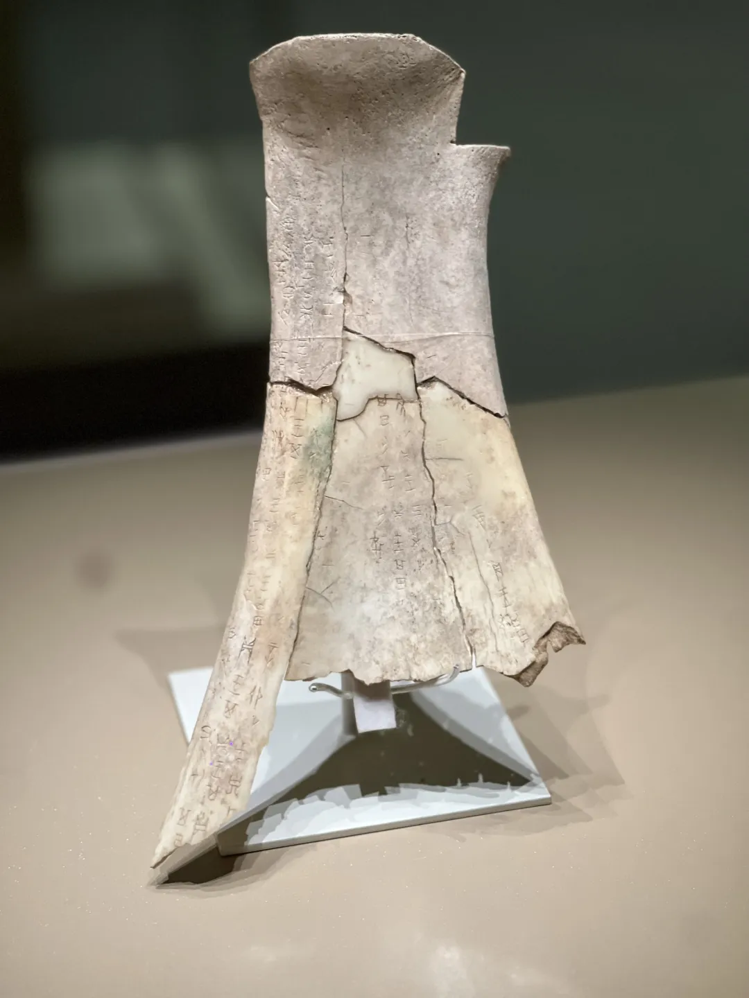 文博日歷丨透過這片“明星甲骨”，一起尋找漢字的源頭！