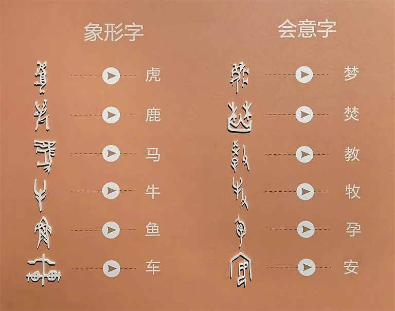 文博日歷丨透過這片“明星甲骨”，一起尋找漢字的源頭！