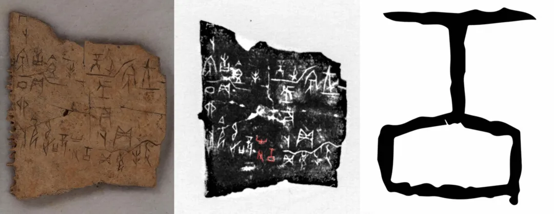 文博日歷丨透過這片“明星甲骨”，一起尋找漢字的源頭！