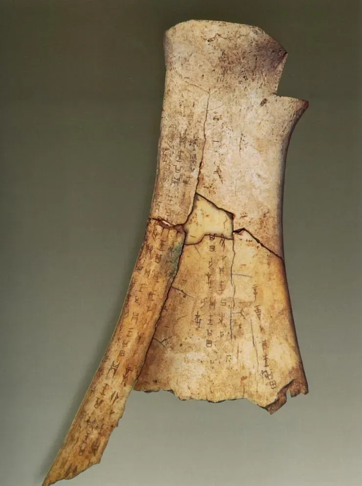 文博日歷丨透過這片“明星甲骨”，一起尋找漢字的源頭！