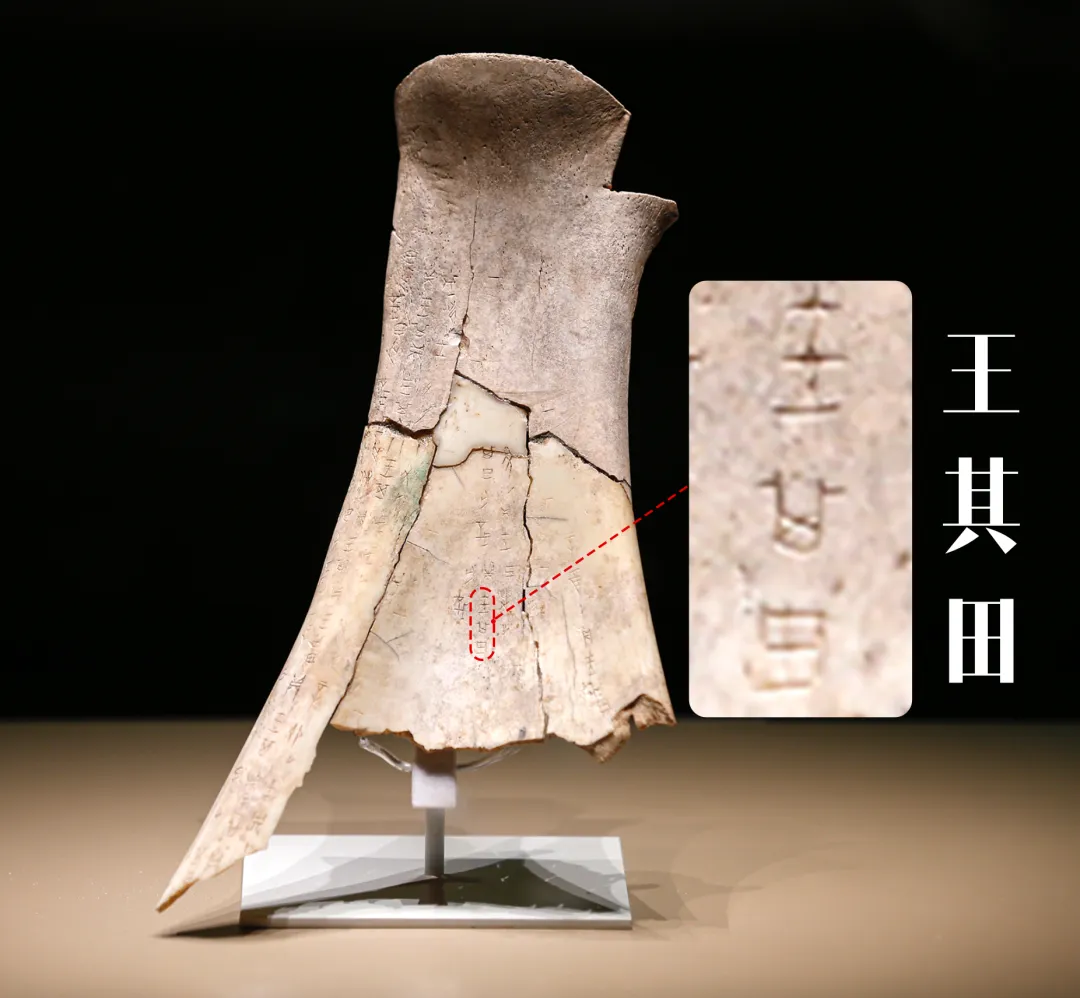 文博日歷丨透過這片“明星甲骨”，一起尋找漢字的源頭！