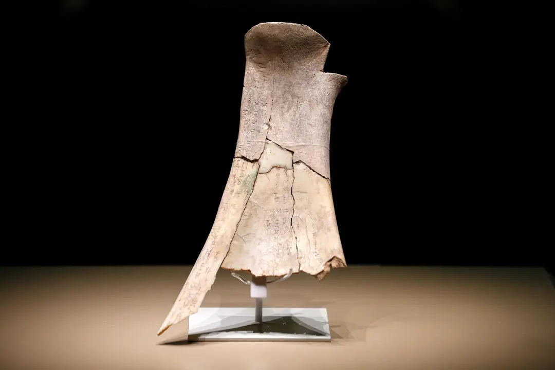 文博日歷丨透過這片“明星甲骨”，一起尋找漢字的源頭！