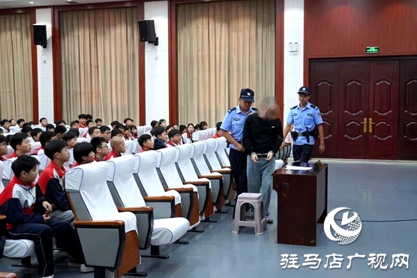 平輿縣人民法院:解鎖“開學(xué)第一課”新上“法”