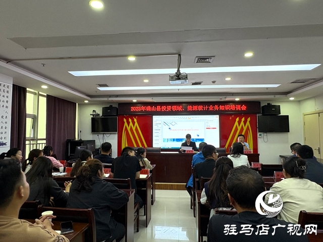 確山縣統計局舉辦2025年投資、能源領域統計業(yè)務知識培訓會