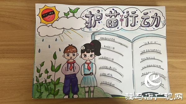 平輿縣第二初級中學(xué)“護苗·綠書簽”行動 
