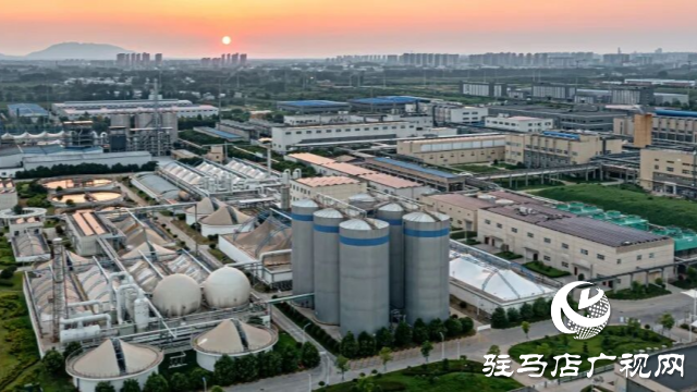 駐馬店全力打造生物醫(yī)藥產(chǎn)業(yè)高地