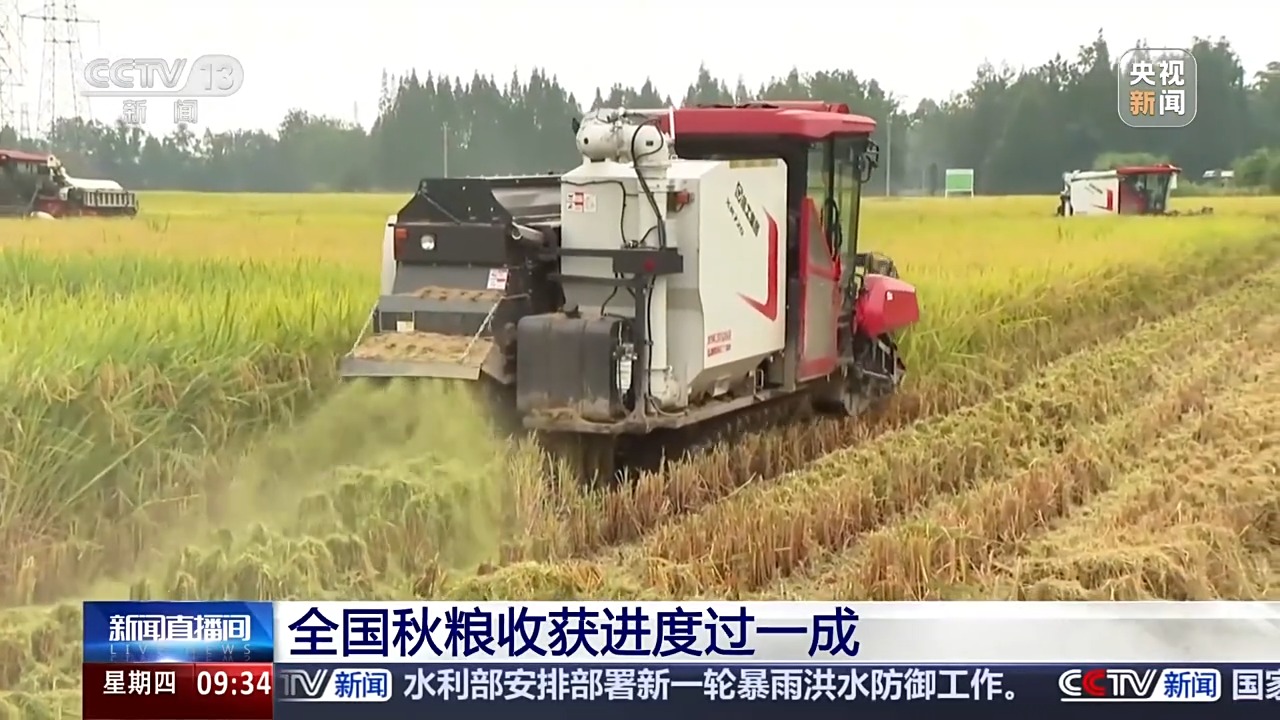 豐收進(jìn)度條刷新中 全國(guó)秋糧收獲進(jìn)度過一成