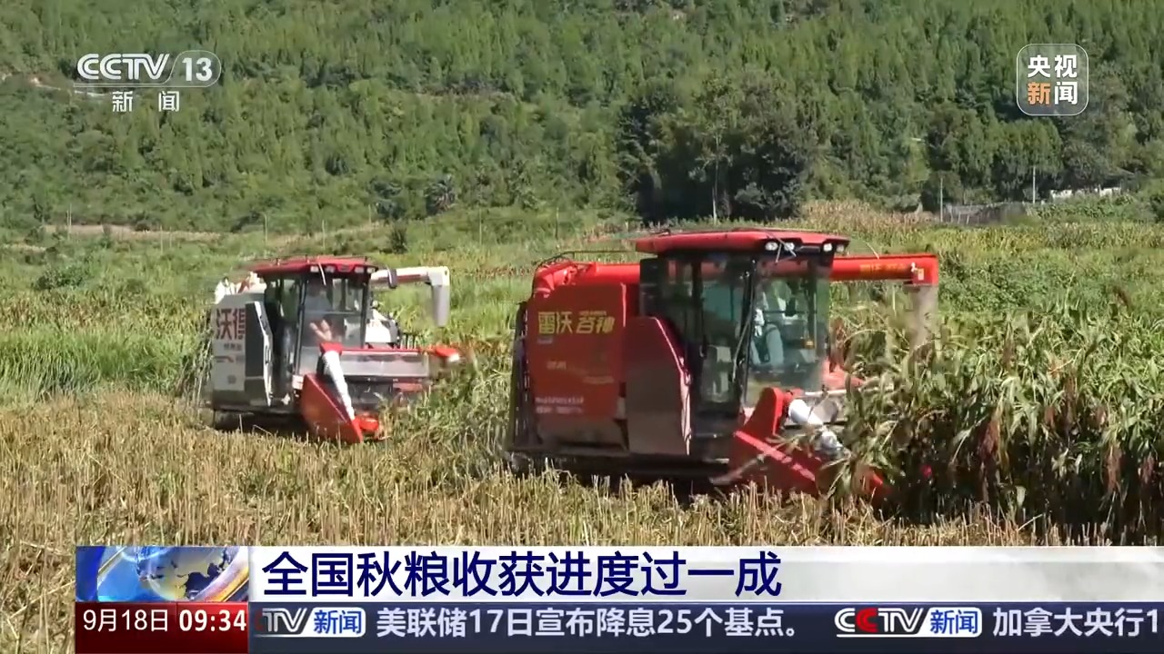 豐收進(jìn)度條刷新中 全國(guó)秋糧收獲進(jìn)度過一成