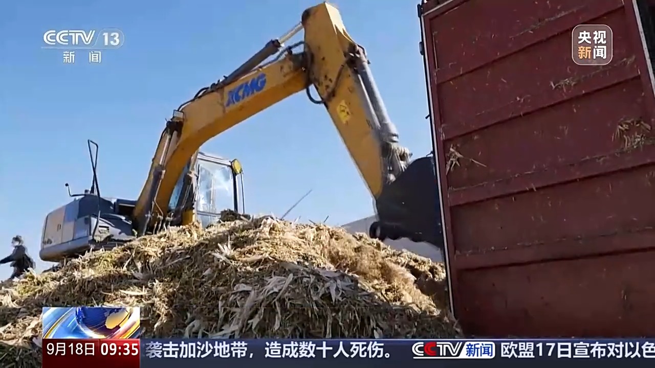 豐收進(jìn)度條刷新中 全國(guó)秋糧收獲進(jìn)度過一成