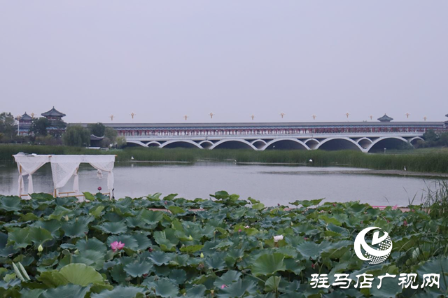 印象練江湖熙汐水岸主題樂園開業(yè) 解鎖“城市微度假”新體驗