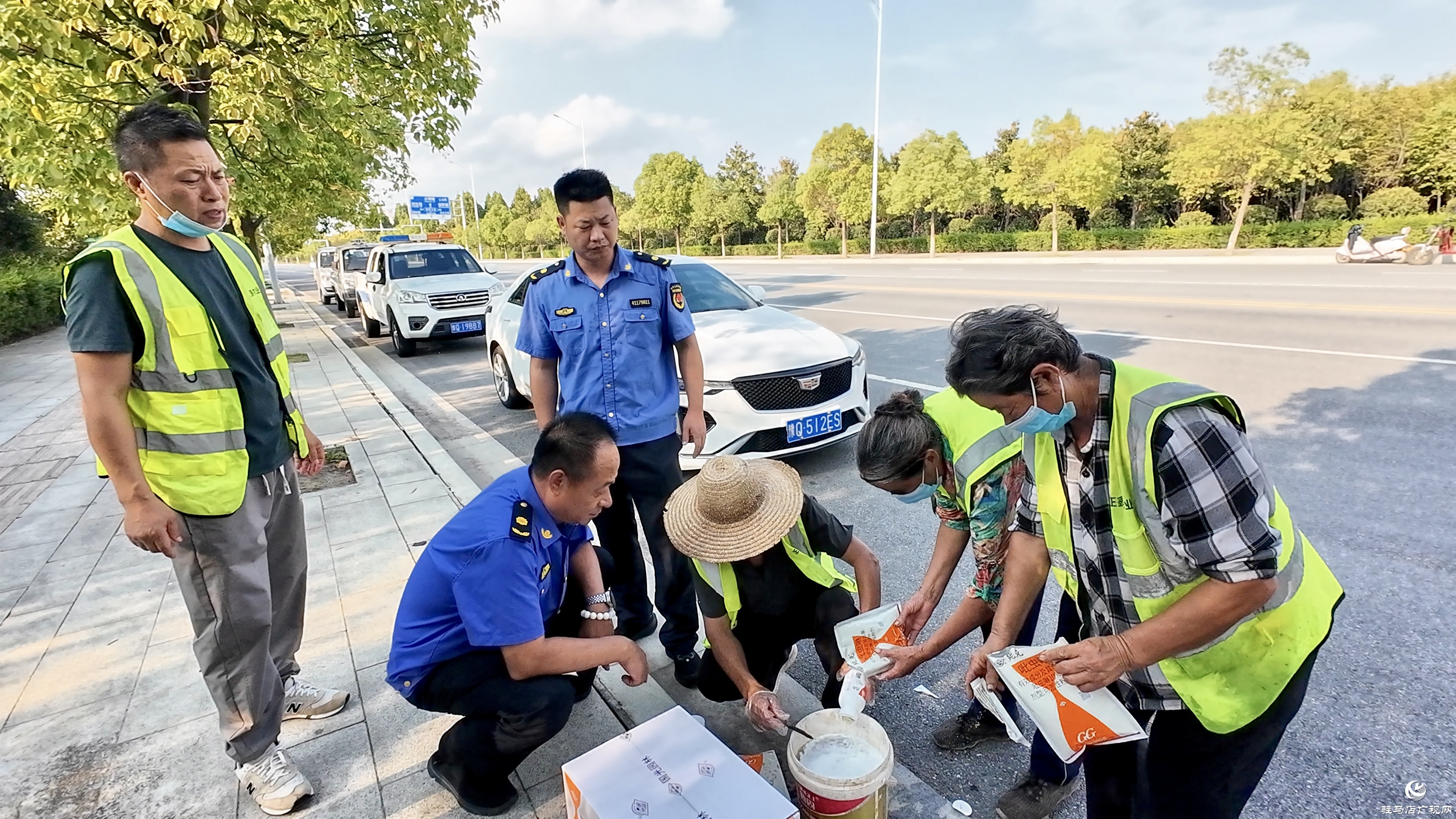 正陽(yáng)縣城市管理局：多措并舉科學(xué)防治白粉虱 守護(hù)城市宜居環(huán)境