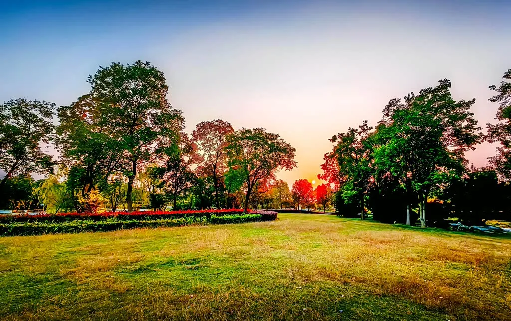 縣區(qū)動態(tài) | 朝霞映日晨光美