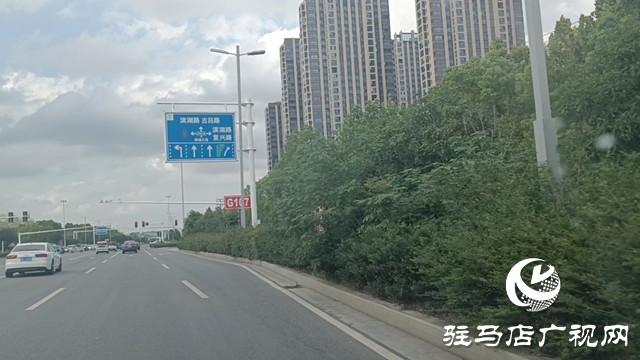 綠化帶瘋長遮擋視線 市民呼吁及時修剪消除隱患