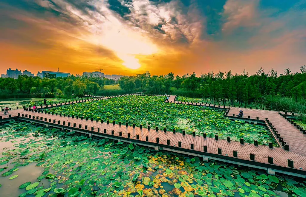 縣區(qū)動態(tài) | 朝霞映日晨光美