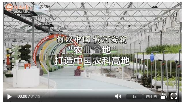 何以中國(guó) 黃河安瀾丨“農(nóng)業(yè)谷地”打造中國(guó)農(nóng)科高地
