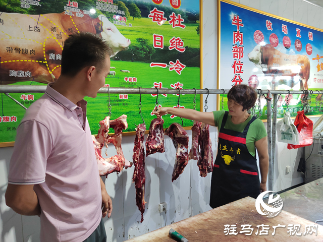 【出彩三農(nóng)人】康健波:90后小伙兒返鄉(xiāng)創(chuàng)業(yè)當(dāng)起了“牛保姆”