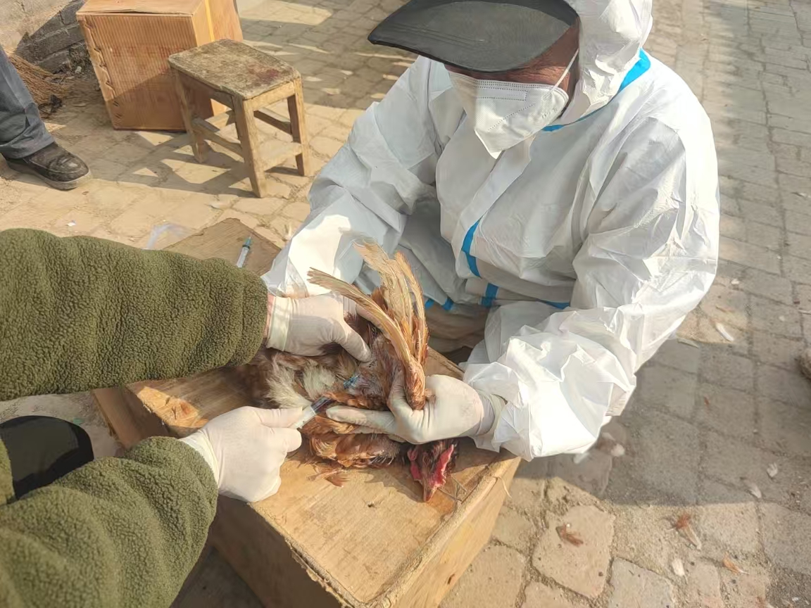 駐馬店市動物疫病防疫檢疫中心發(fā)布2025年9月份動物疫病預警預報信息